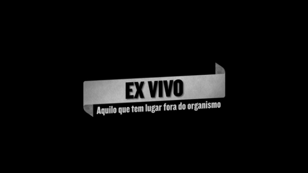 Ex-Vivo: Aquilo que tem Lugar Fora do Organismo